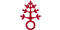 Dominikus-Ringeisen-Werk-Logo