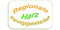 Regionale Planungsgemeinschaft Harz-Logo